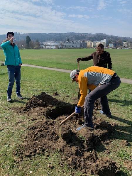 Entfernen des Betonsockels